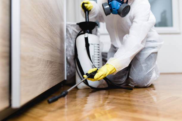 Best Bed Bug Extermination  in Burlington, ND
