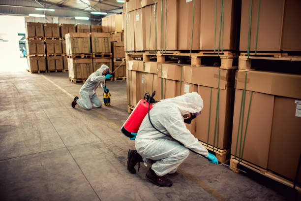 Reliable Burlington, ND Pest Control Solutions