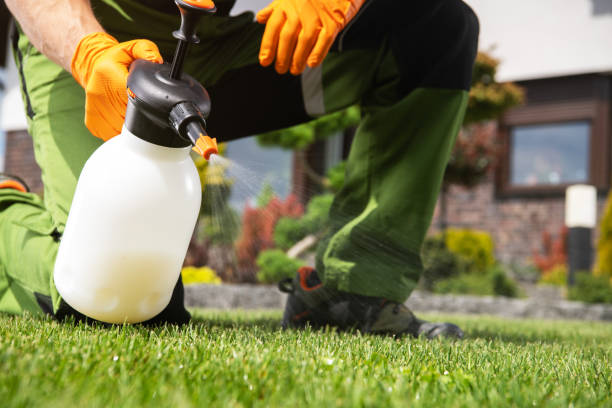 Best Commercial Pest Control Services  in Burlington, ND