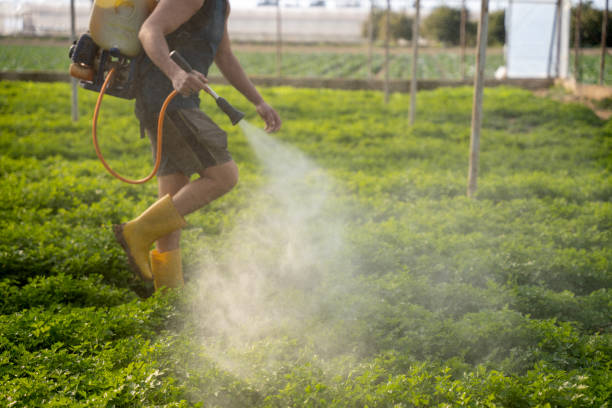Best Wildlife Control Services  in Burlington, ND