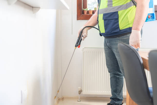 Best Wasp Removal Services  in Burlington, ND