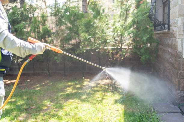 Best Best Pest Control Companies  in Burlington, ND